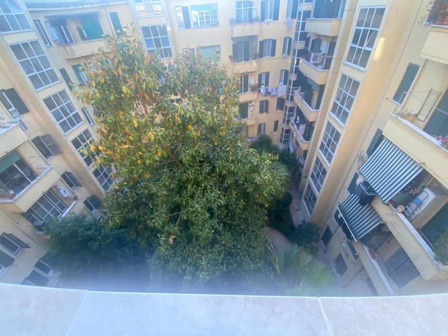 Apartamento Domus Giulia & Andrea Roma Exterior foto